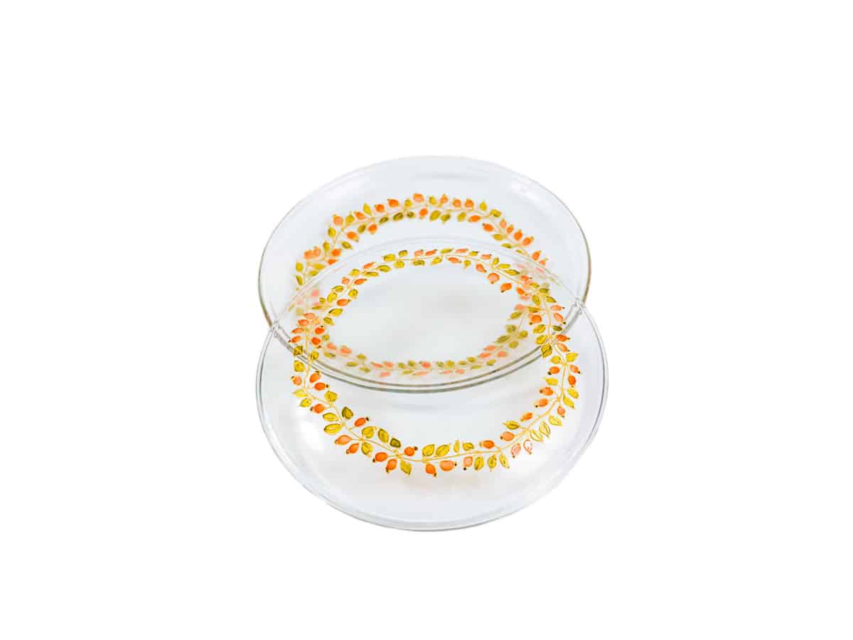 Farfurie decorata cu macese