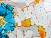 Bol Cu Margarete Si Albastrele